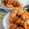 Sticky Sesame Glazed Chicken (Gluten Free) - Set 5 of 6 - Image 2