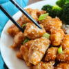 Sticky Sesame Glazed Chicken (Gluten Free) - Set 6 of 6 - Image 5