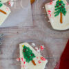 Christmas Tree Bark - Set 2 of 3 - Image 5
